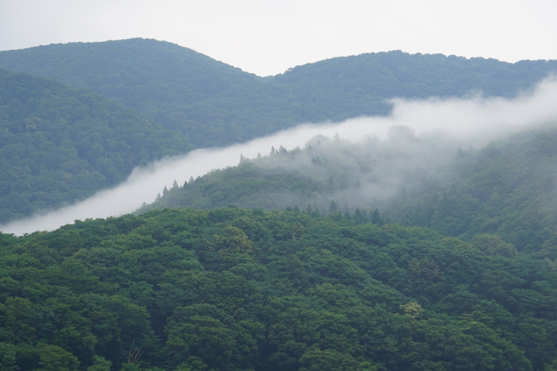 f:id:GSX-R1000:20150705215744j:image
