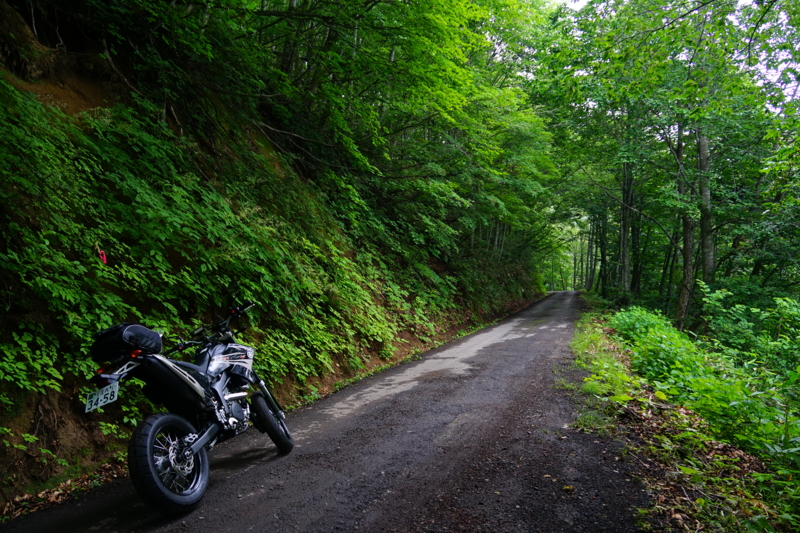 f:id:GSX-R1000:20150705215752j:image