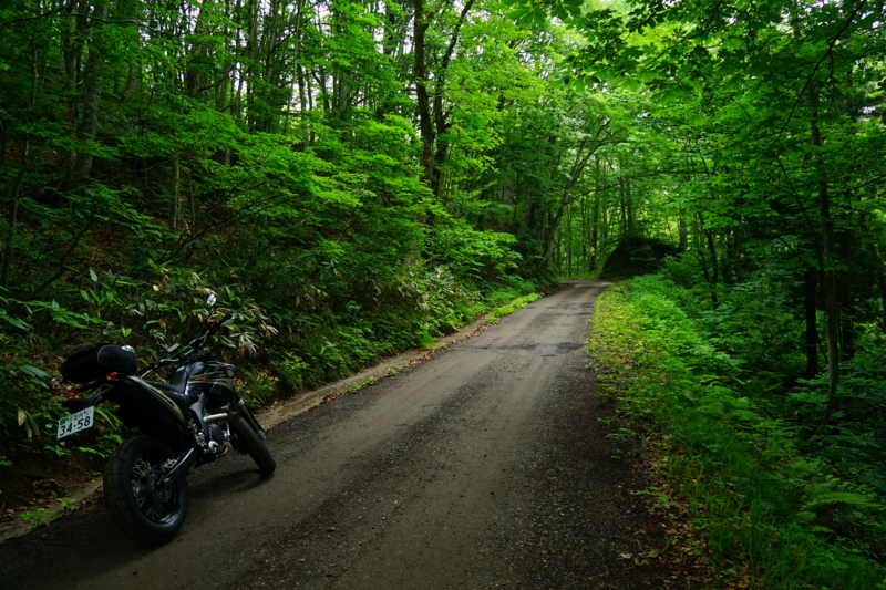 f:id:GSX-R1000:20150705215753j:image