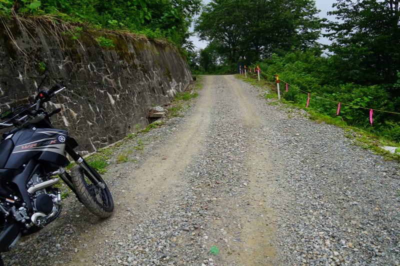 f:id:GSX-R1000:20150705215758j:image