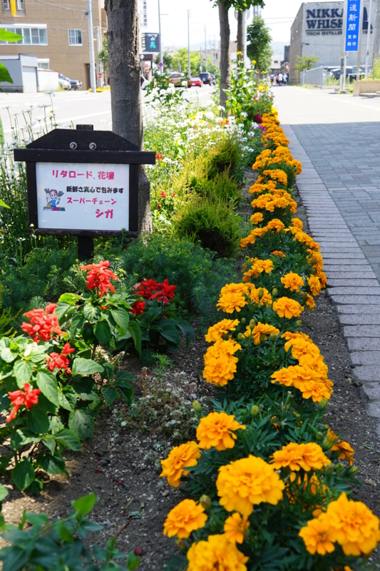 f:id:GSX-R1000:20150711210811j:image