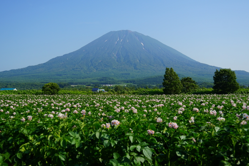 f:id:GSX-R1000:20150711210834j:image