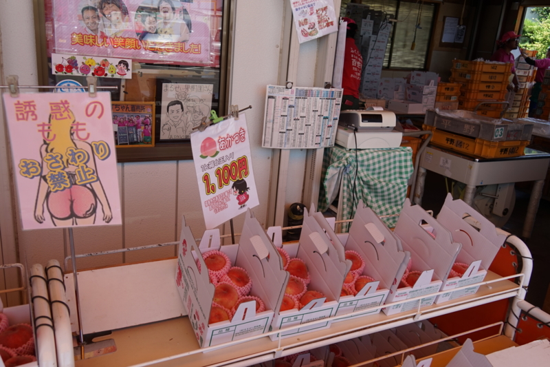 f:id:GSX-R1000:20150803204418j:image