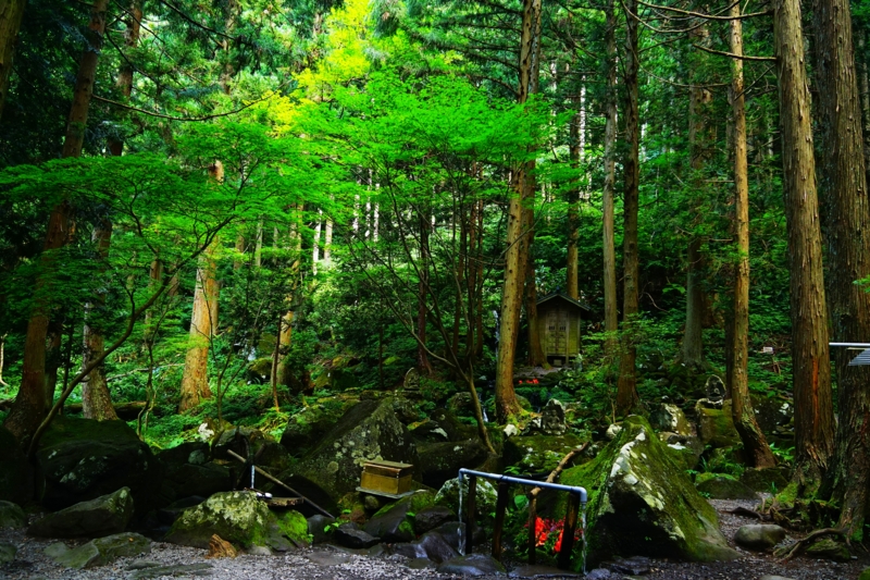 f:id:GSX-R1000:20150814102211j:image