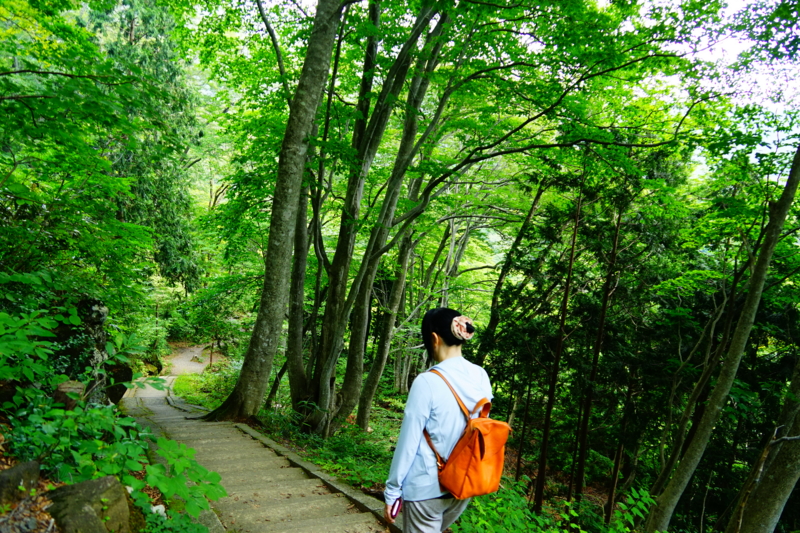 f:id:GSX-R1000:20150814102219j:image