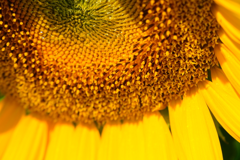 f:id:GSX-R1000:20150814102227j:image
