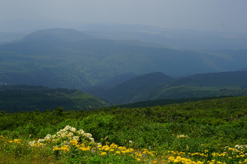 f:id:GSX-R1000:20150814104054j:image