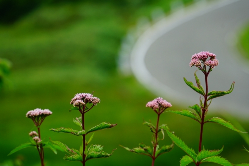 f:id:GSX-R1000:20150814214022j:image
