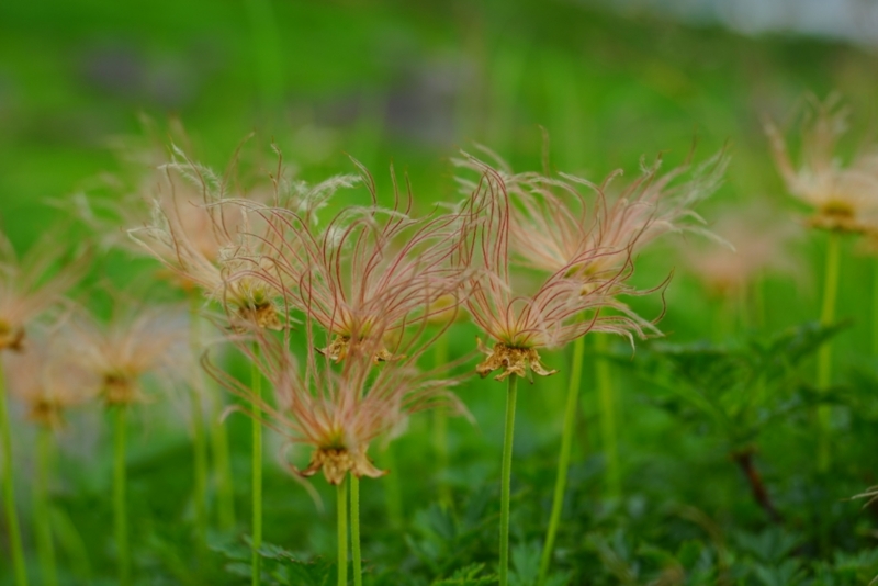 f:id:GSX-R1000:20150814214027j:image