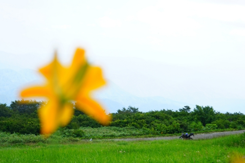 f:id:GSX-R1000:20150814214033j:image