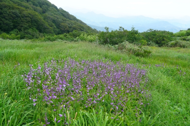 f:id:GSX-R1000:20150814214034j:image