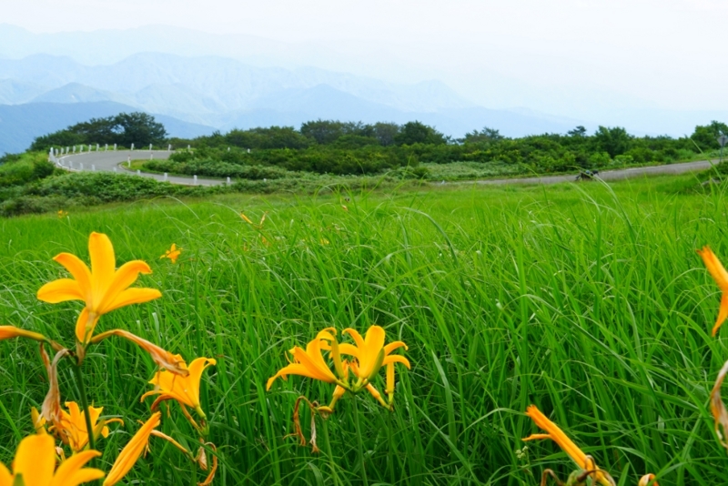 f:id:GSX-R1000:20150814215115j:image