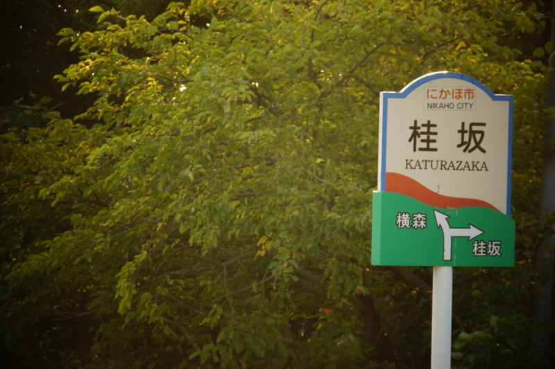 f:id:GSX-R1000:20150829211333j:image