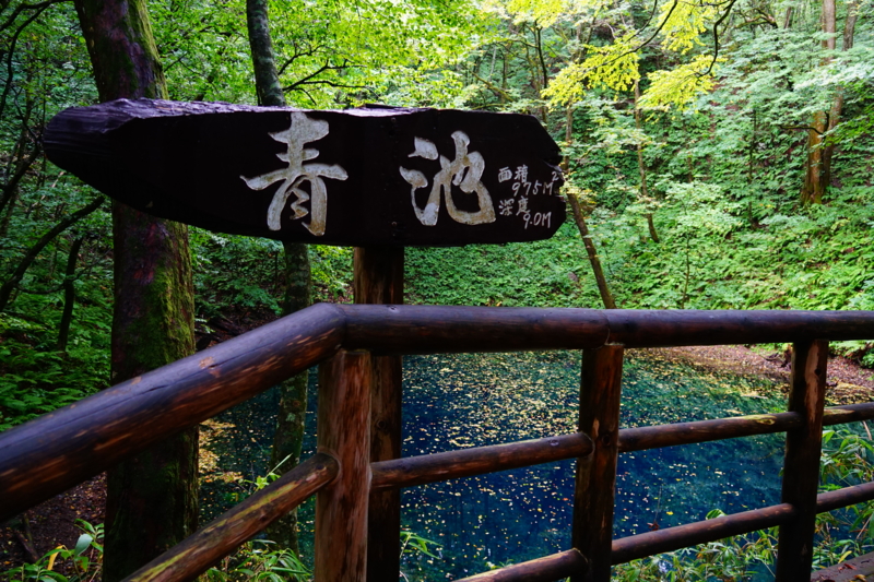 f:id:GSX-R1000:20150921205026j:image