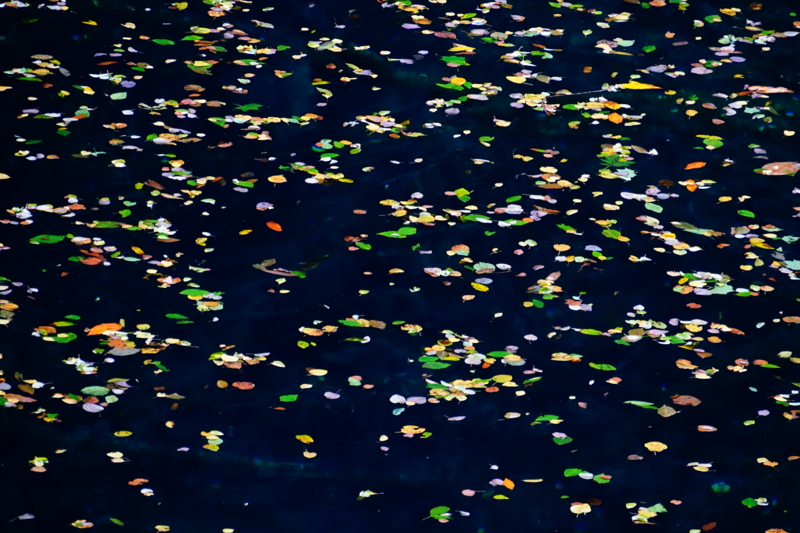 f:id:GSX-R1000:20150921205028j:image