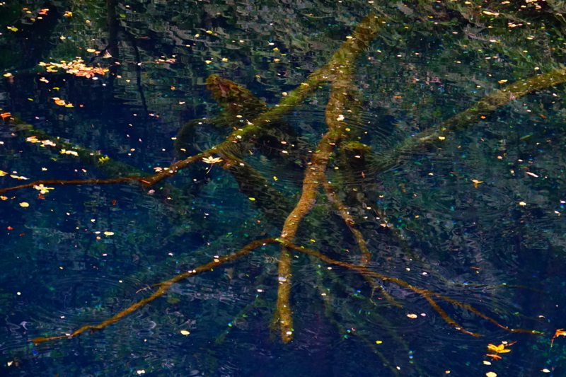 f:id:GSX-R1000:20150921205029j:image