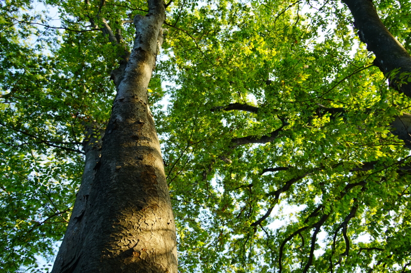 f:id:GSX-R1000:20150924205905j:image