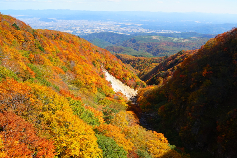 f:id:GSX-R1000:20151016214936j:image