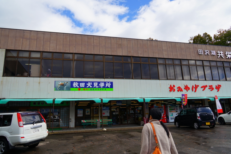 f:id:GSX-R1000:20151017150528j:image