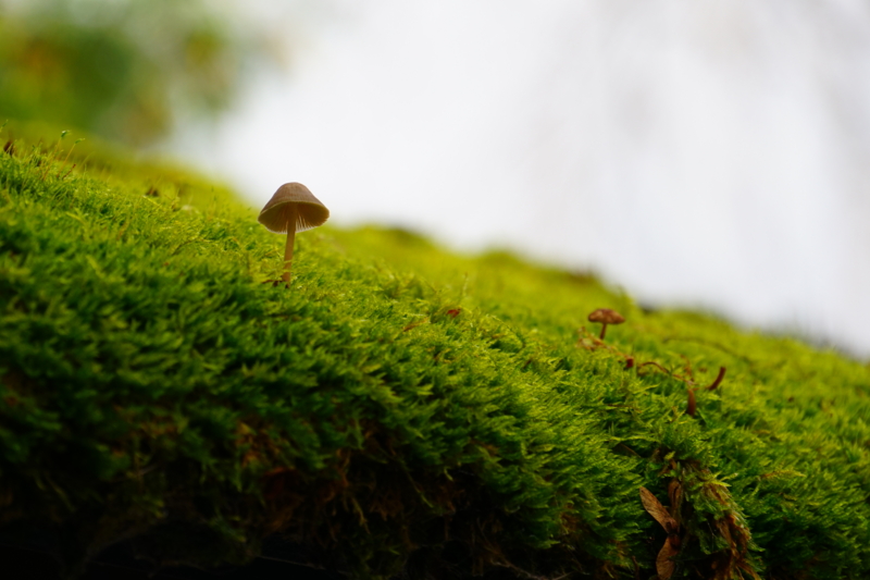 f:id:GSX-R1000:20151017150536j:image