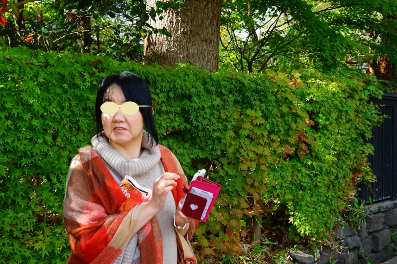 f:id:GSX-R1000:20151017150541j:image