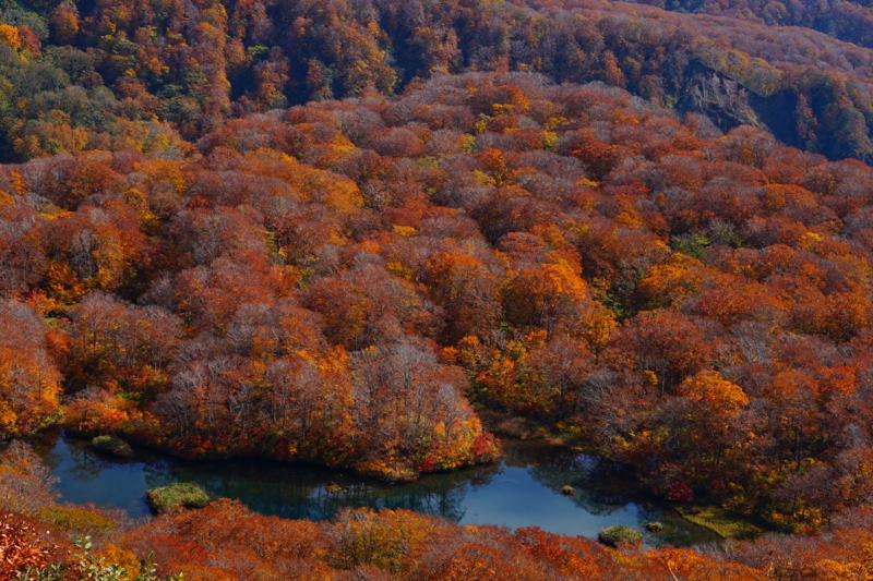 f:id:GSX-R1000:20151017152928j:image f:id:GSX-R1000:20151017152928j:image