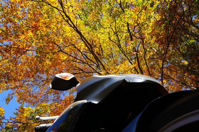 f:id:GSX-R1000:20151017152936j:image
