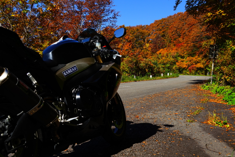 f:id:GSX-R1000:20151017152939j:image