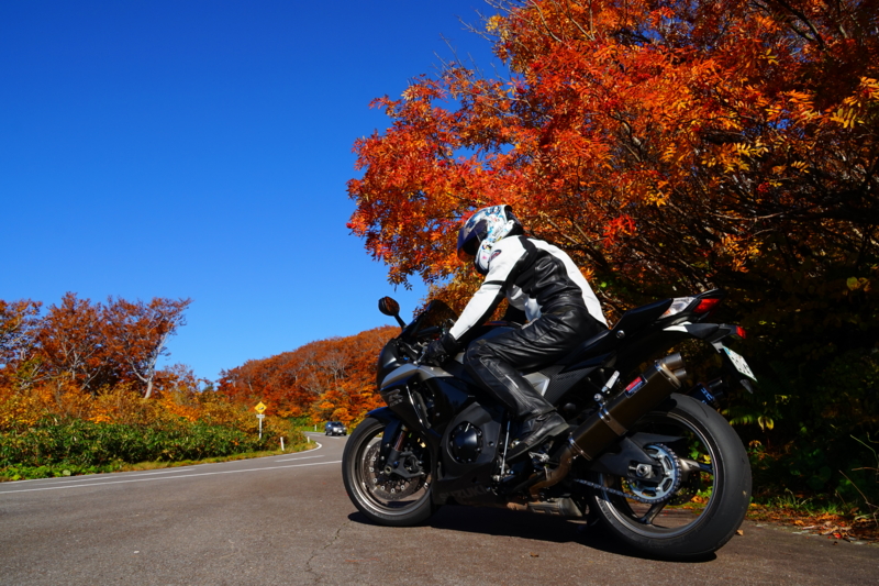 f:id:GSX-R1000:20151017152942j:image
