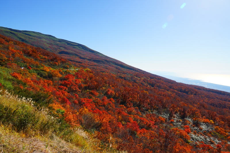 f:id:GSX-R1000:20151017152946j:image