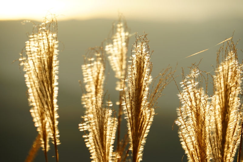 f:id:GSX-R1000:20151017152954j:image