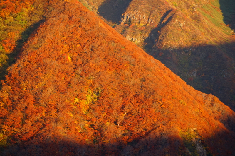 f:id:GSX-R1000:20151017152957j:image