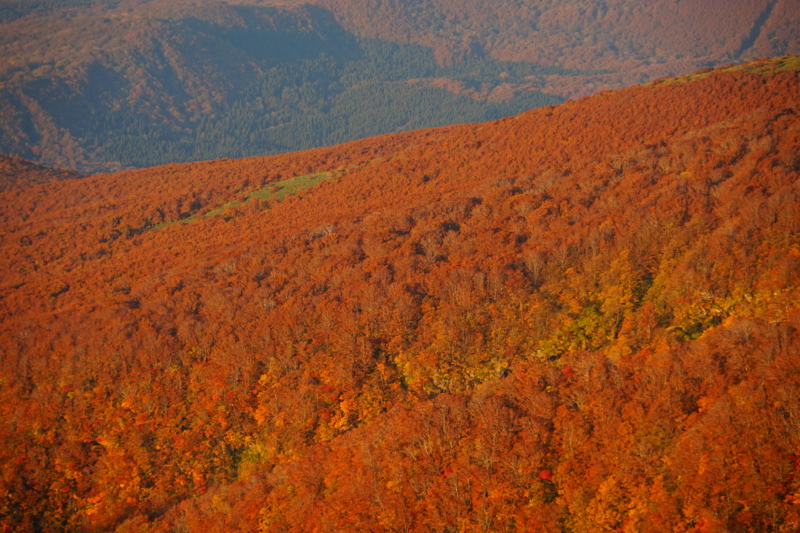 f:id:GSX-R1000:20151017152958j:image