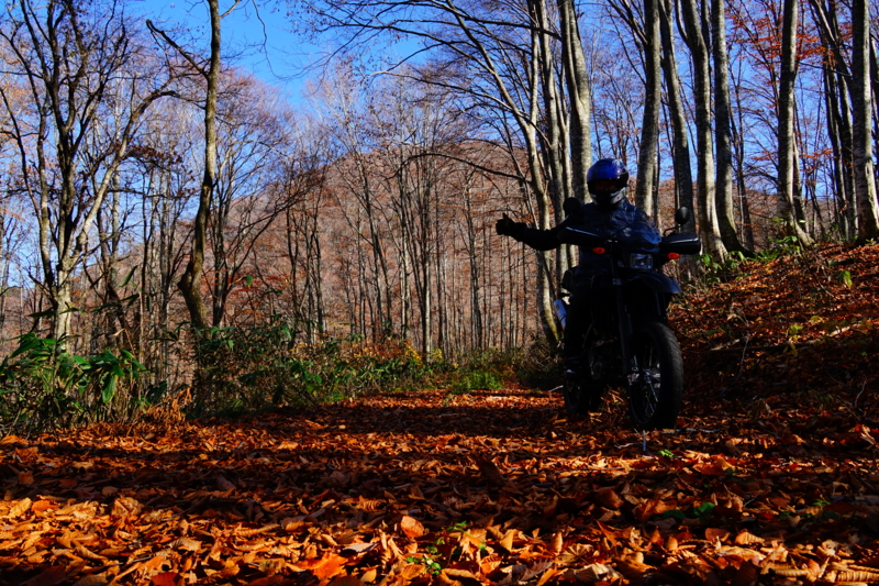 f:id:GSX-R1000:20151108090258j:image