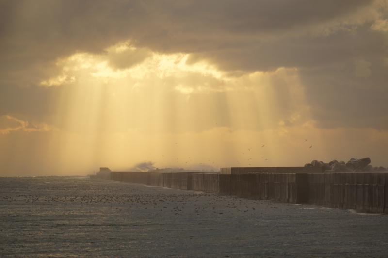 f:id:GSX-R1000:20160108202530j:image