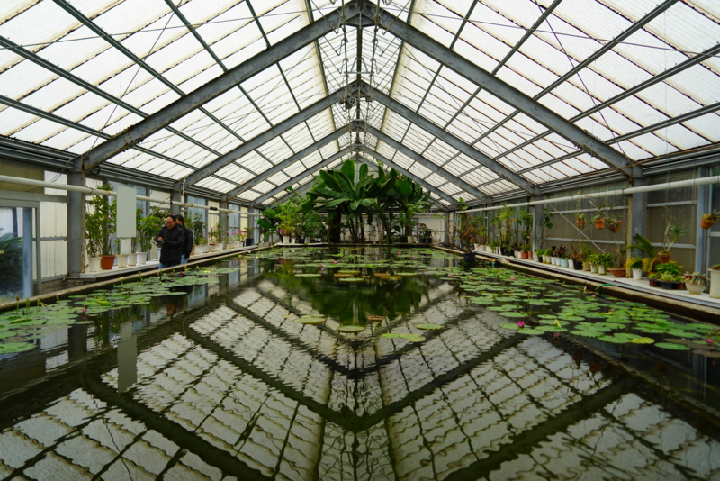 f:id:GSX-R1000:20160131211536j:image