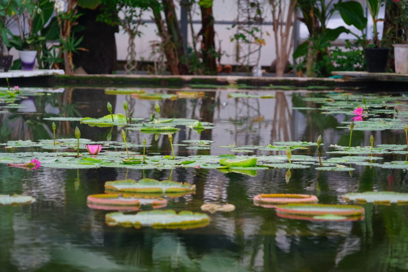 f:id:GSX-R1000:20160131211537j:image