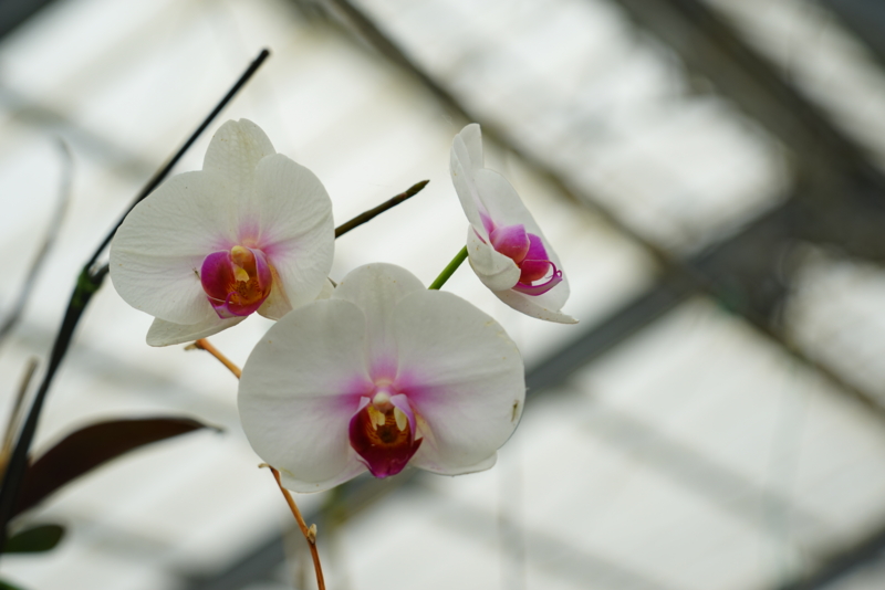 f:id:GSX-R1000:20160131211538j:image