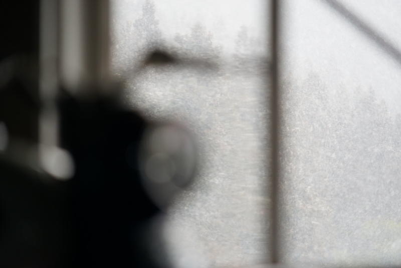 f:id:GSX-R1000:20160131211610j:image