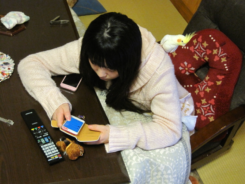 f:id:GSX-R1000:20160210214548j:image