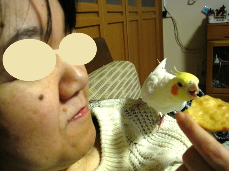 f:id:GSX-R1000:20160210214554j:image