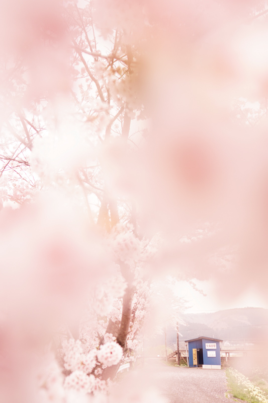 f:id:GSX-R1000:20160212122532j:image