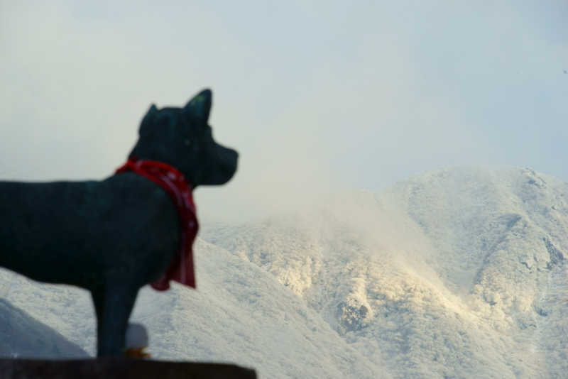 f:id:GSX-R1000:20160220202510j:image f:id:GSX-R1000:20160220202510j:image