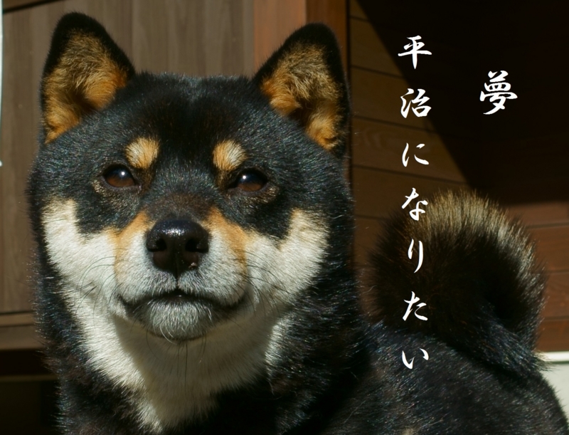 f:id:GSX-R1000:20160221145215j:image f:id:GSX-R1000:20160221145215j:image