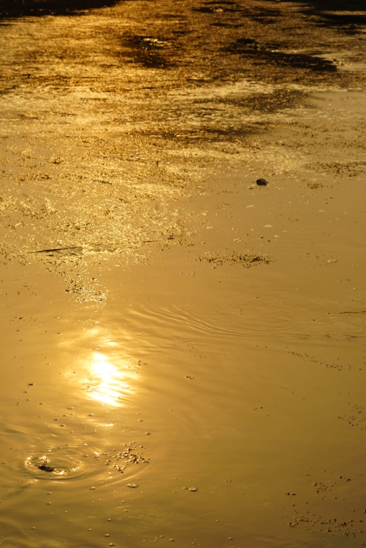 f:id:GSX-R1000:20160228172200j:image f:id:GSX-R1000:20160228172200j:image