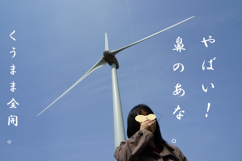 f:id:GSX-R1000:20160403202832j:image