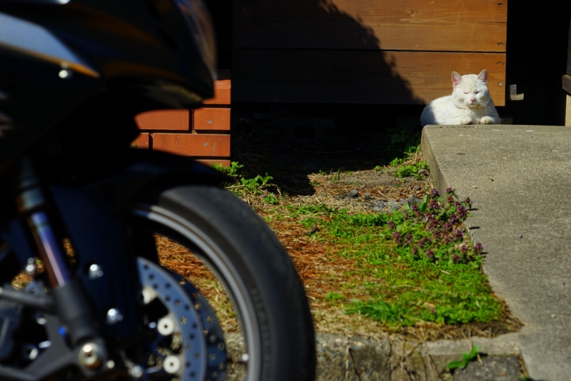 f:id:GSX-R1000:20160405214514j:image