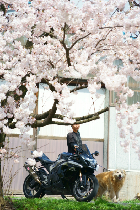 f:id:GSX-R1000:20160414195221j:image