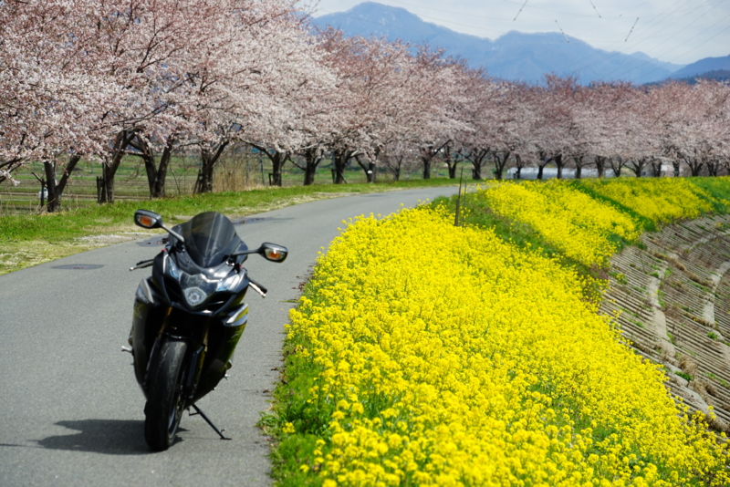 f:id:GSX-R1000:20160414195224j:image