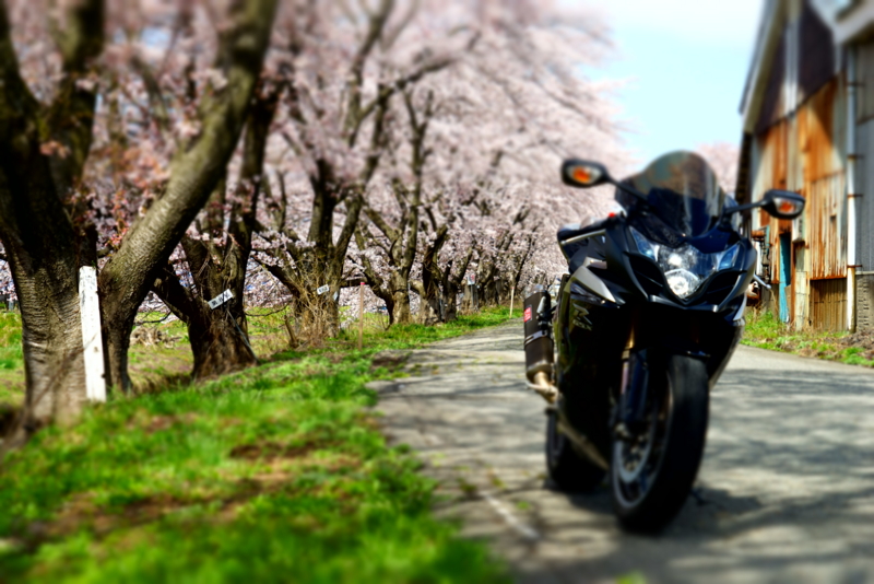 f:id:GSX-R1000:20160414200252j:image